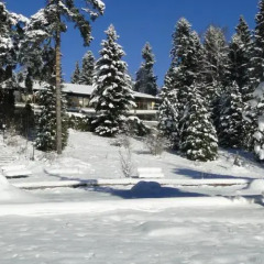 SG Boutique Hotel Sokol спортивное сооружение