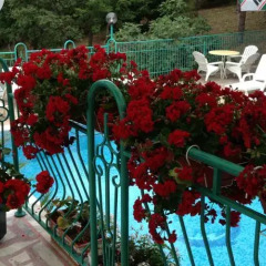 Отель Zora Болгария, Несебр - отзывы, цены и фото номеров - забронировать отель Zora онлайн фото 11