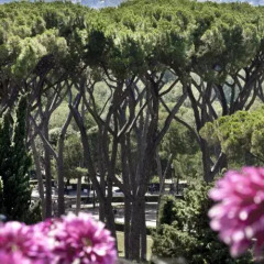 Отель Veneto Италия, Рим - отзывы, цены и фото номеров - забронировать отель Veneto онлайн