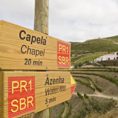 Отель Quinta Nova de Nossa Senhora do Carmo - Luxury Winery House городской автобус