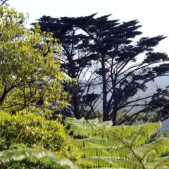 Отель Quinta Cova Do Milho Машику фото 6