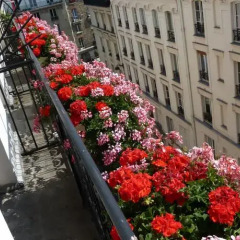 Отель Vendôme Saint Germain балкон