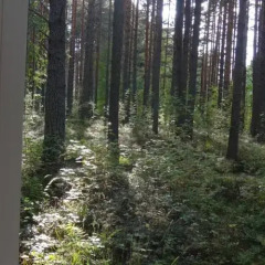 Гостиничный комплекс Деревня Александровка фото 11