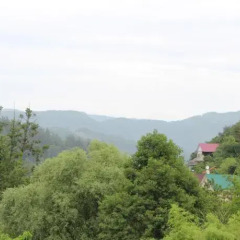 Гостиница Guest House Nadezhda в Сочи отзывы, цены и фото номеров - забронировать гостиницу Guest House Nadezhda онлайн фото 2