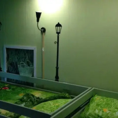 Green Garden Hostel ванная