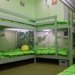Green Garden Hostel детские мероприятия фото 2