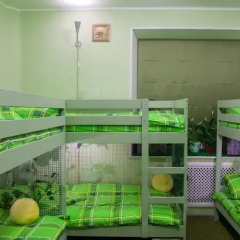 Green Garden Hostel детские мероприятия