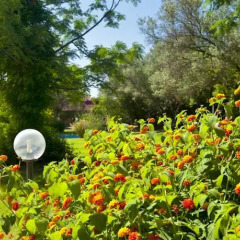 Отель VOI Floriana Resort Симери-Крики фото 5
