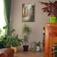 Hotel La Bonaigua интерьер отеля фото 2