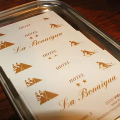 Hotel La Bonaigua развлечения