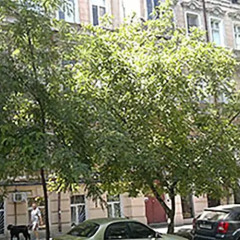 Mini Hostel Odessa парковка