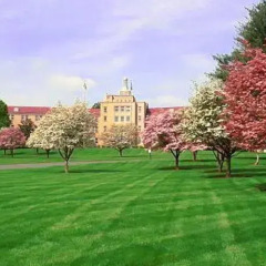 Отель Bolger Hotel and Conference Center США, Потомак - отзывы, цены и фото номеров - забронировать отель Bolger Hotel and Conference Center онлайн спортивное сооружение