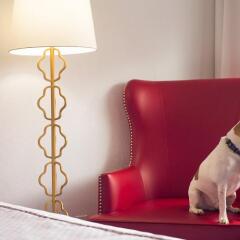 Отель Capitol Hill Hotel США, Вашингтон - 1 отзыв об отеле, цены и фото номеров - забронировать отель Capitol Hill Hotel онлайн с домашними животными