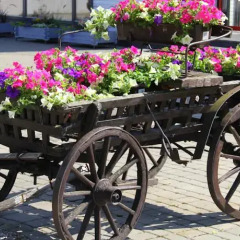 Отель Info Hotel Литва, Паланга - отзывы, цены и фото номеров - забронировать отель Info Hotel онлайн