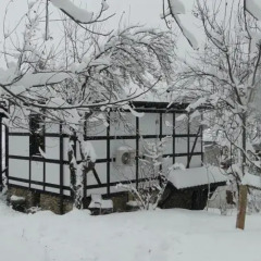 Отель Countryside Houses Golets