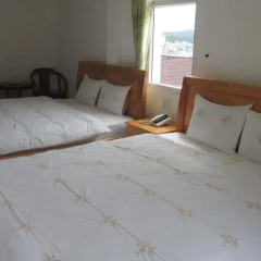 Thanh Loan Hotel Далат комната для гостей фото 5