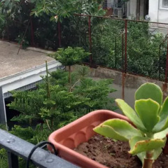 Отель Cardassi 55 Бари балкон
