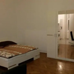 Апартаменты Goldfisch Apartment Central Park комната для гостей фото 4