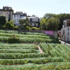 Апартаменты Montmartre Apartments Matisse фото 2