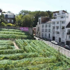 Апартаменты Montmartre Apartments Matisse