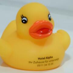 Hotel Alpha спортивное сооружение