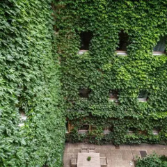 Отель Kunsthof Австрия, Вена - 14 отзывов об отеле, цены и фото номеров - забронировать отель Kunsthof онлайн приотельная территория фото 2