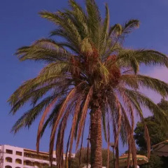 Отель Romantza Mare пляж фото 2
