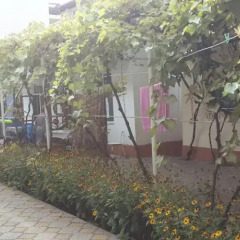 Гостиница Nadezhda Guest House фото 4
