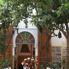 Отель Riad Timel Марокко, Марракеш - отзывы, цены и фото номеров - забронировать отель Riad Timel онлайн фото 4