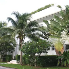 Отель White House @ Marina Phuket о. Пхи-Пхи