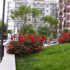 Отель B&B Dolci Ricordi Бари