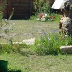 Гостиница База Отдыха Фактория в Большом Голоустном отзывы, цены и фото номеров - забронировать гостиницу База Отдыха Фактория онлайн Большое Голоустное фото 2