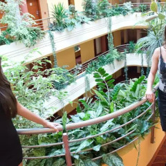 Airport Hotel Budapest фитнесс-зал фото 4