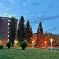 Отель AGRICOLA Марианске-Лазне фото 8