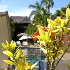 Magic Blue Boutique Hotel фото 8