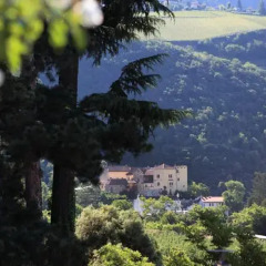 Отель Pienzenau Am Schlosspark Италия, Меран - отзывы, цены и фото номеров - забронировать отель Pienzenau Am Schlosspark онлайн фото 7