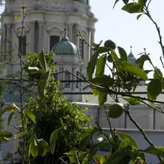 Отель Palma Италия, Помпеи - отзывы, цены и фото номеров - забронировать отель Palma онлайн пляж