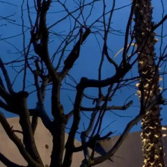 Caol Ishka Hotel Сиракуза развлечения