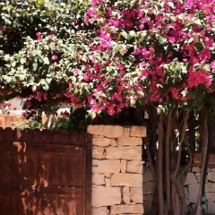 Отель B&B Dolce Casa Сиракуза фото 7