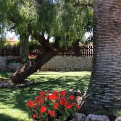 Отель B&B Dolce Casa Сиракуза фото 21