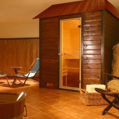 Отель Airporthotel Regent сауна