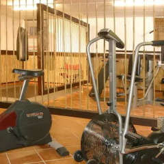 Отель Airporthotel Regent фитнесс-зал фото 2