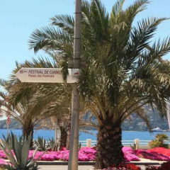 Отель Riviera Access - Petit Juas пляж