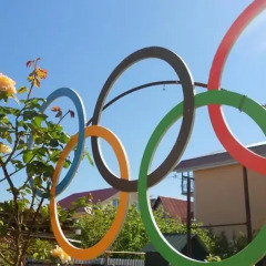 Гостевой Дом Олимпийский Дворик бассейн