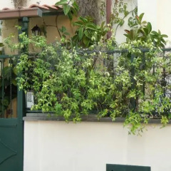 Отель Il Portoncino Verde Лидо-ди-Остия балкон