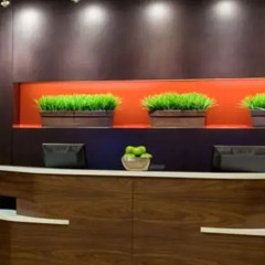 Отель Courtyard by Marriott Downtown Toronto Канада, Торонто - отзывы, цены и фото номеров - забронировать отель Courtyard by Marriott Downtown Toronto онлайн спа фото 2