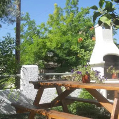 Отель Isidora Hotel Греция, Эгина - отзывы, цены и фото номеров - забронировать отель Isidora Hotel онлайн фото 15