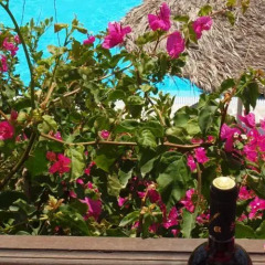 Отель Holiday Beach Resort пляж фото 2