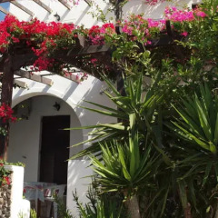 Отель Holiday Beach Resort интерьер отеля фото 3