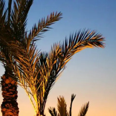 Отель Riad Al Mendili Kasbah Private Resort & Spa бассейн фото 3